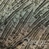 00938886-2