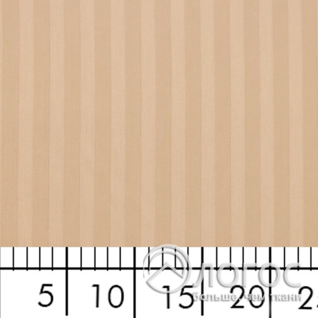 00950695-3