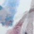 00948455-2