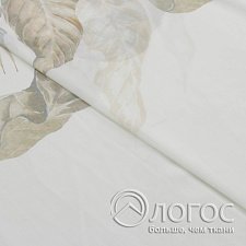 00930045
